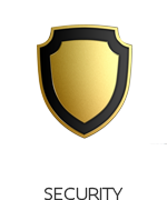 icon_security